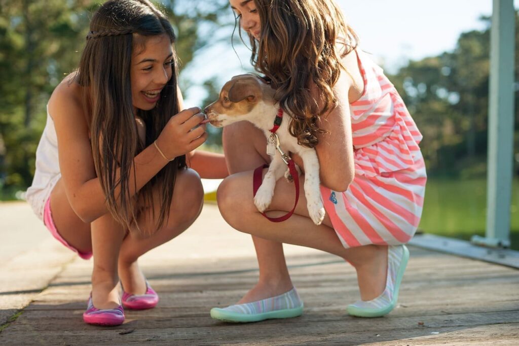 Kinder und Hunde im Haushalt?