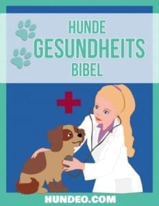 Die Gesundheits Bibel von Hundeo