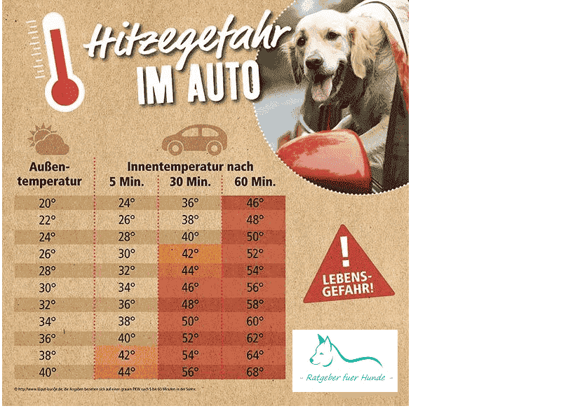 Urlaub mit dem Hund