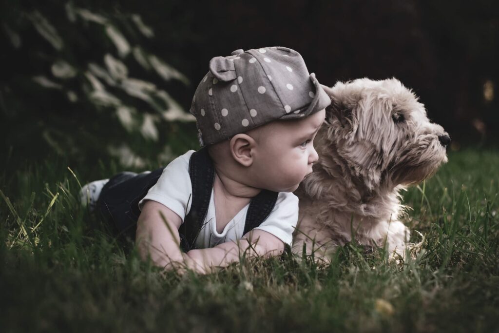 Kinder und Hunde im Haushalt?
