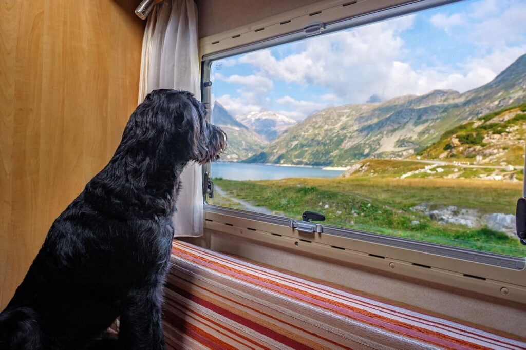 Urlaub mit dem Hund