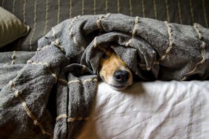 Jahreswechsel ohne Angst?
