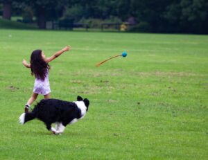 Kinder und Hunde im Haushalt?