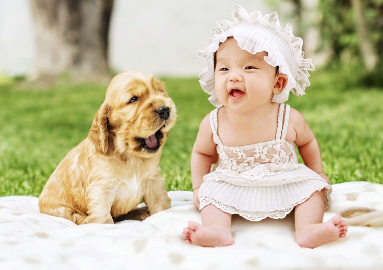 Kinder und Hunde im Haushalt?