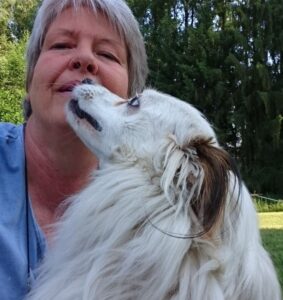 Hundetraining mit Herz und Hirn