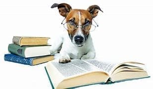 Die Hunde Gesundheits Bibel von Hundeo.