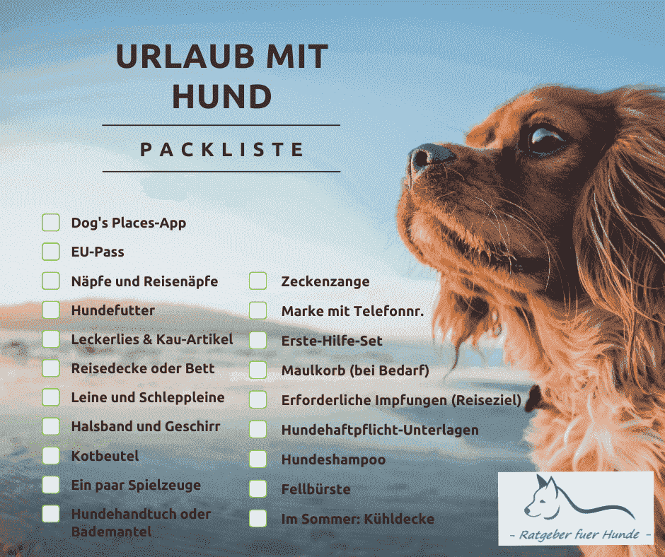 Urlaub mit dem Hund