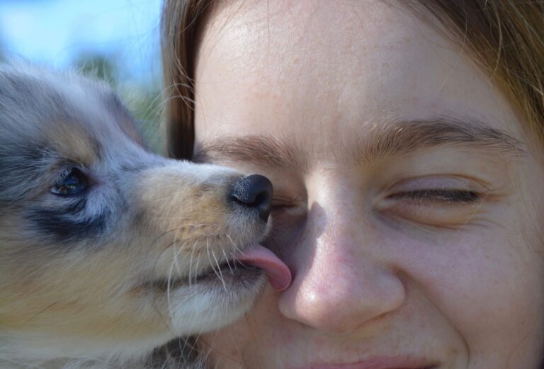 Wie du deinen passenden Hund für dich findest?
