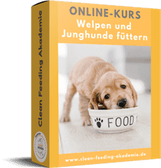 Online- Kurs Welpen und Junghunde richtig Füttern